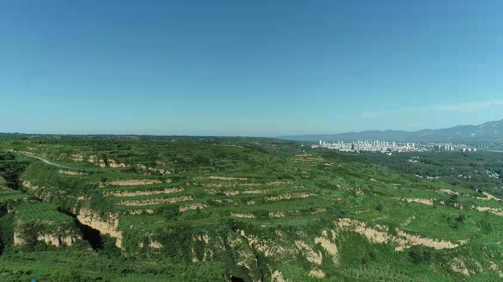 喜訊！河南龍源榮獲國家林業重點龍頭企業